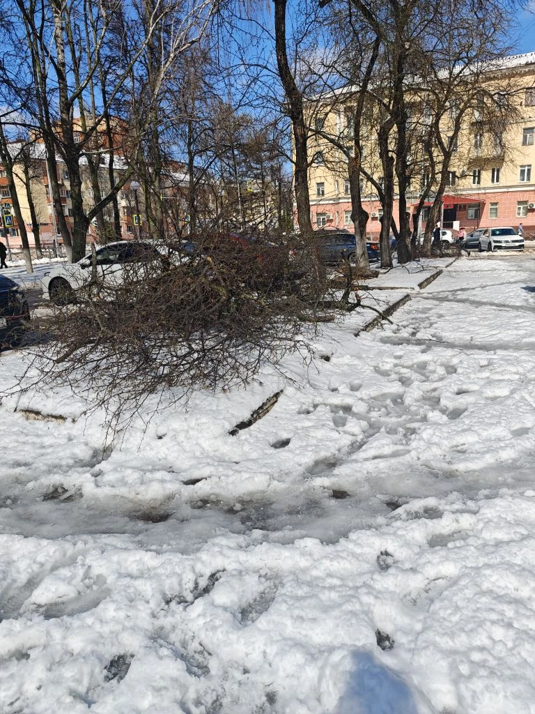 Кругом одни и те же последствия🤔