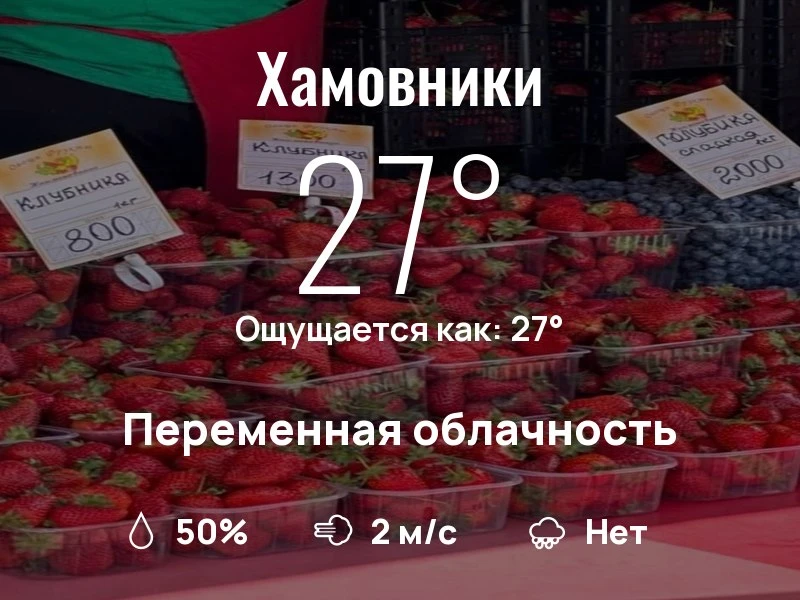 Что с погодой в Хамовниках?