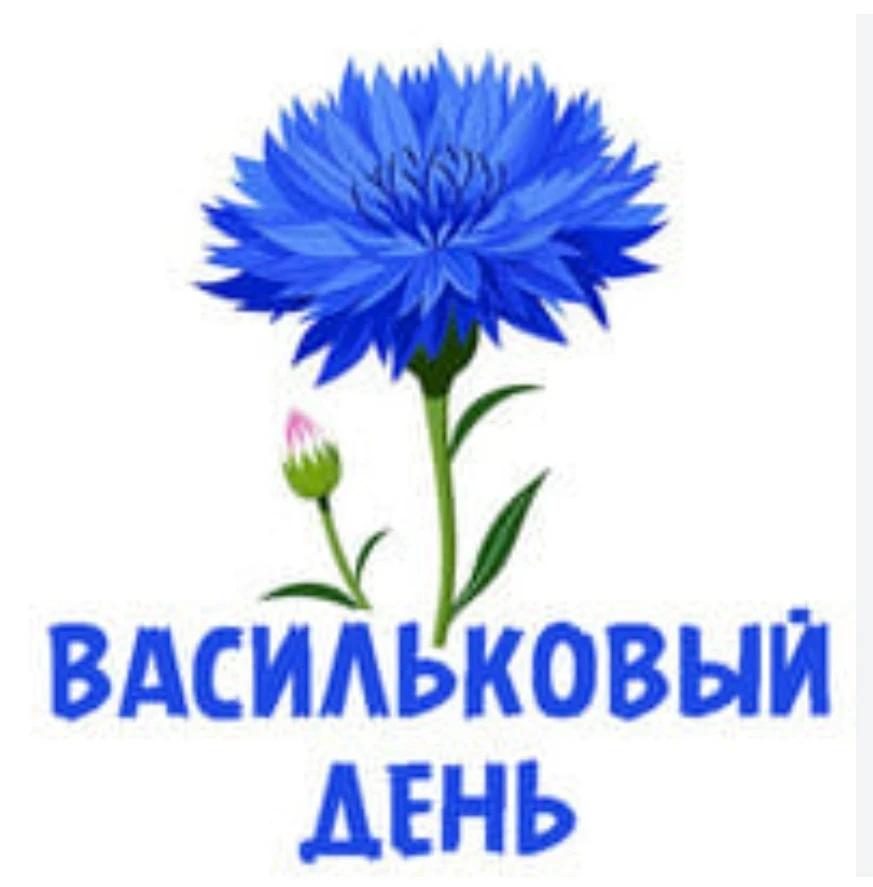 День василька» — это тематический праздник, который традиционно отмечается в детских садах в начале 