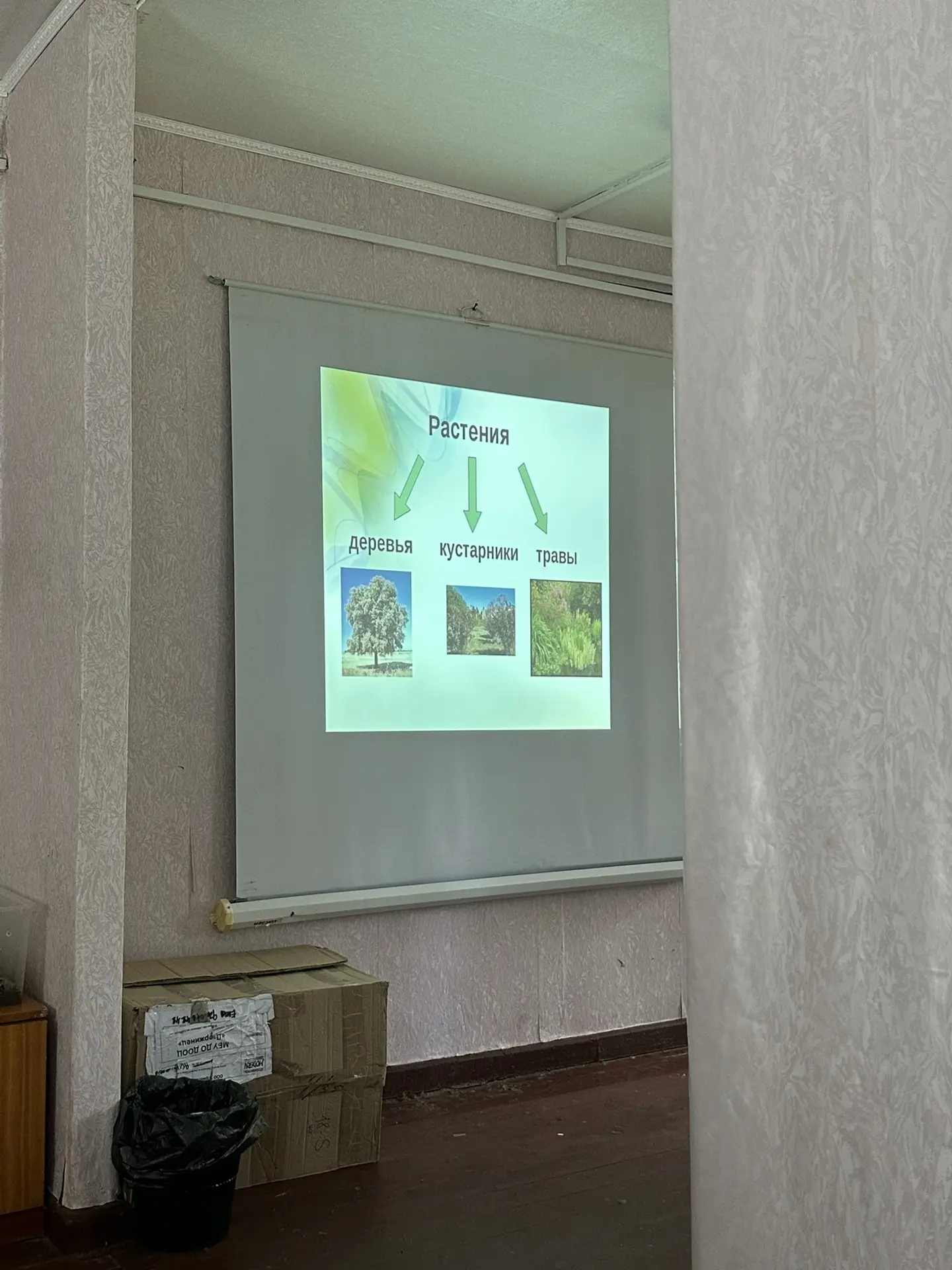 4 отряд на увлекательном кружке «Удивительный мир»🌿🍀🌳