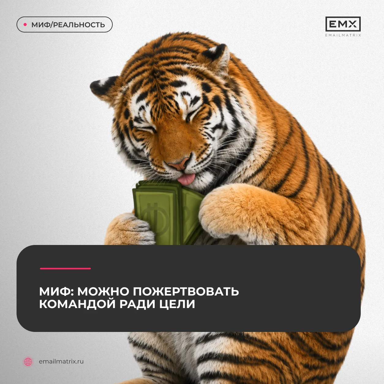 Проснулся, сделал задачки и выкинул работу из головы.