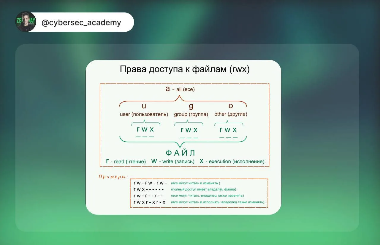 Почему chmod 777 - это не просто плохая практика

👋 Приветствую в мире цифровой безопасности!

Расс