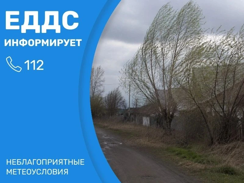Жителей центральных и южных районов края завтра, 19 июня, ждут погодные аномалии.

Заморозки: в ночн