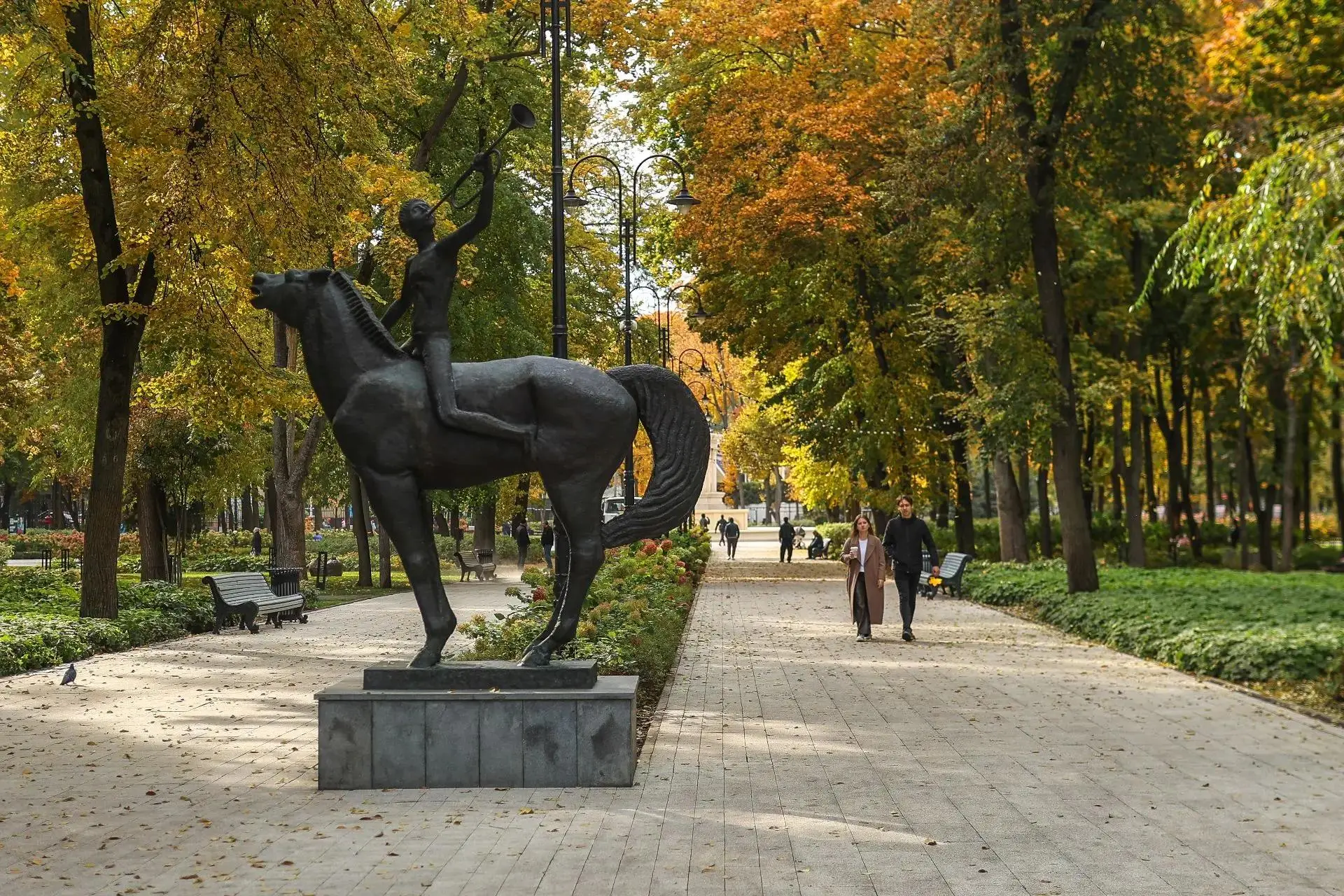 🍂 В Воронеже наступает настоящая золотая осень