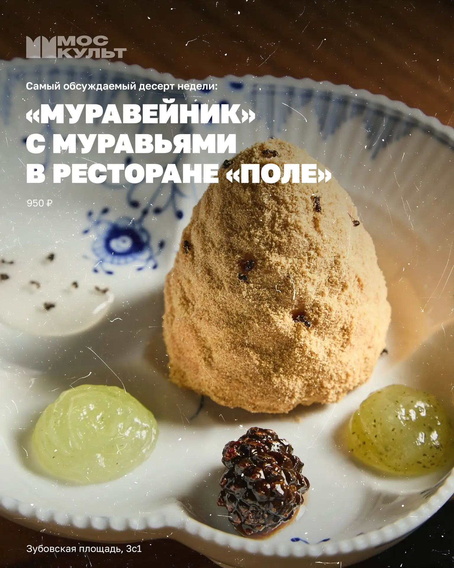 В Москве появился «Муравейник»... с настоящими муравьями 😳