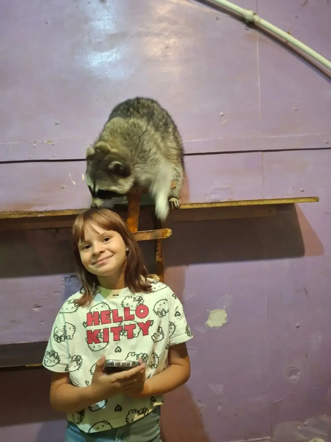 🦝 Знакомство с енотами!