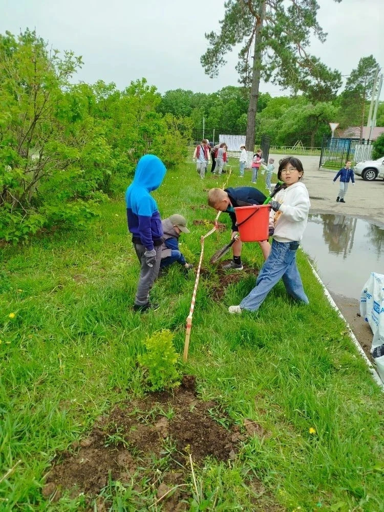 🌳 Зелёная акция в Мичуринском поселении: вместе — к чистой планете!