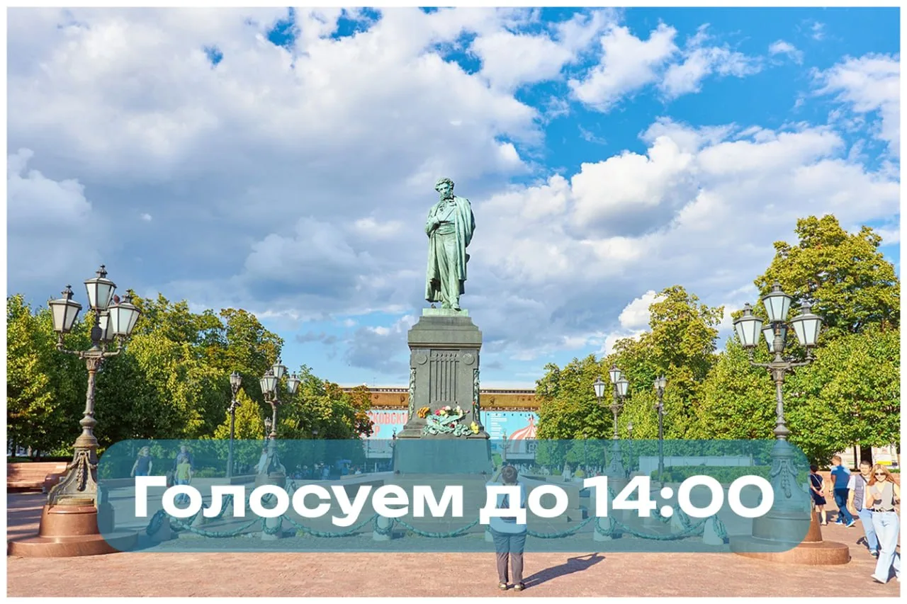 Тестовое голосование о переносе памятника Пушкину продолжается без сбоев.