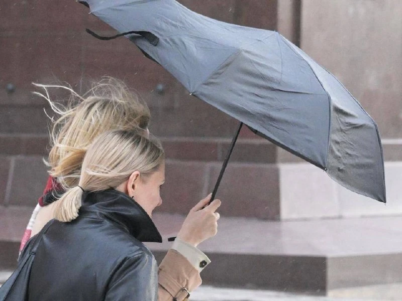 🌬️ МЧС предупредило москвичей о сильном ветре 24 сентября