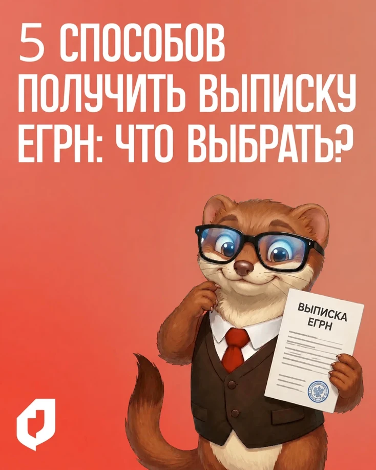 вариантов выписки ЕГРН. Подробнее о случаях и основаниях получения