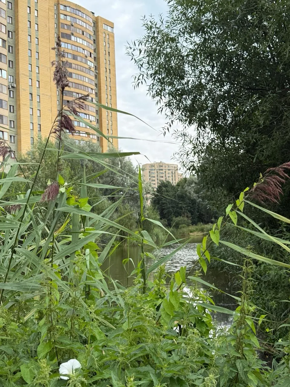 Настоящий зеленой оазис в нашем районе 🌿

А какое у вас любимое место для прогулок?
 
📸 Ирина Яров