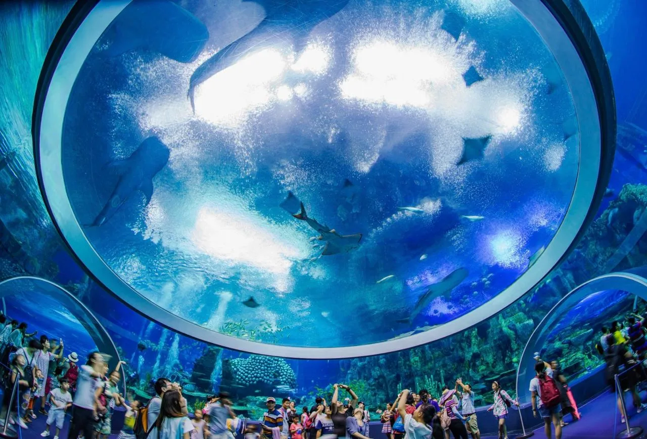 Chimelong Ocean Kingdom в Чжухае, Китай 🇨🇳  🔹 Chimelong Ocean Kingdom - тематический парк в Чжухае, 