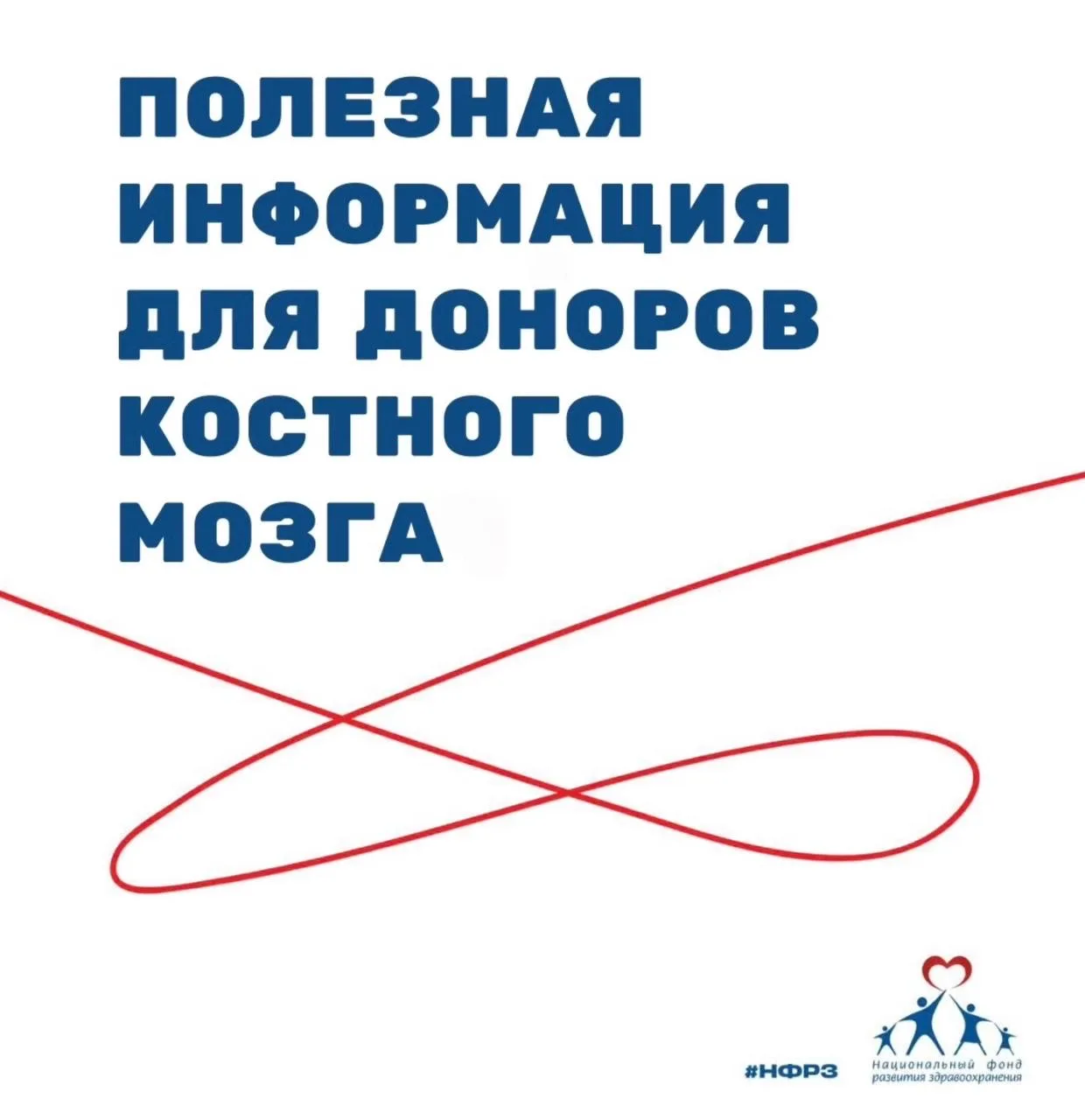 ❓Какие вопросы возникают чаще всего относительно донорства костного мозга?