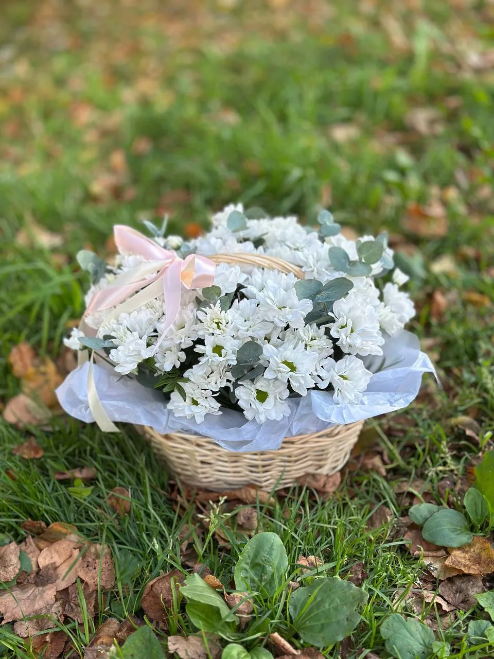 Корзинка с ромашкой