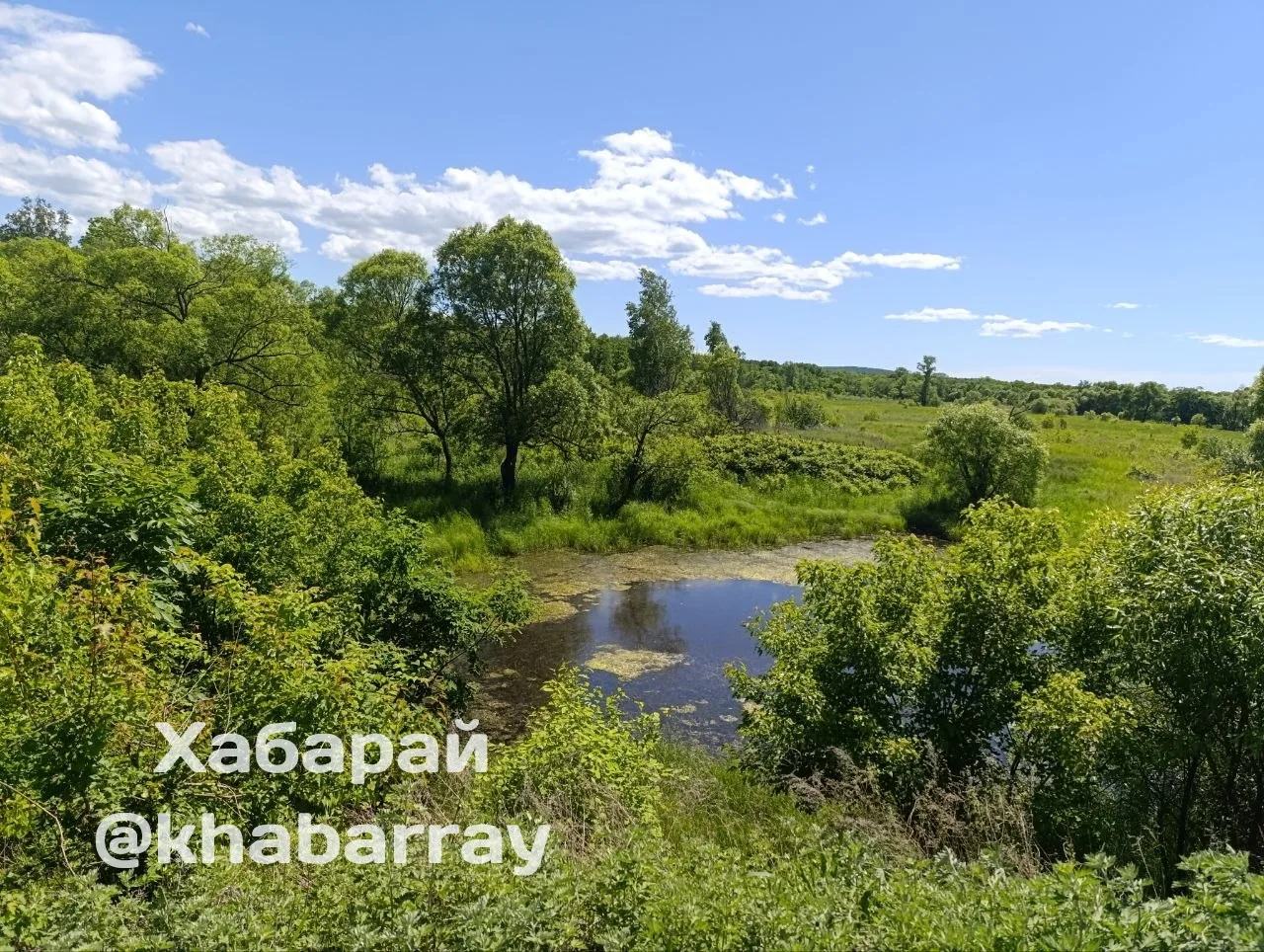 ☀️ Сегодня в Хабаровске с утра +18, днём до +25, солнечно.

В Комсомольске с утра +16, днём до +24, 