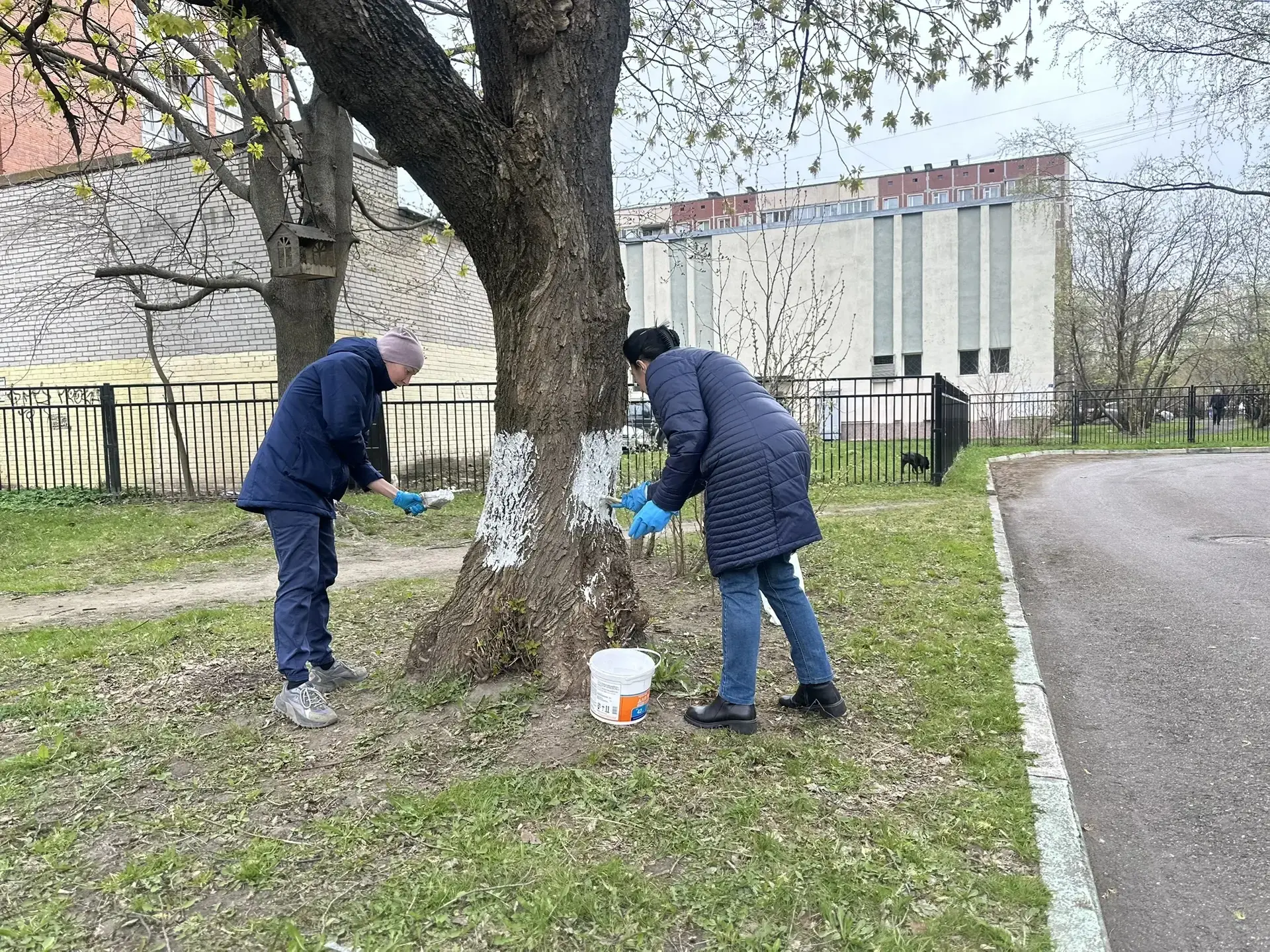 🌿 Общегородской субботник в гимназии – сделаем наш двор чище вместе! 🌿  Дорогие ученики, родители и 
