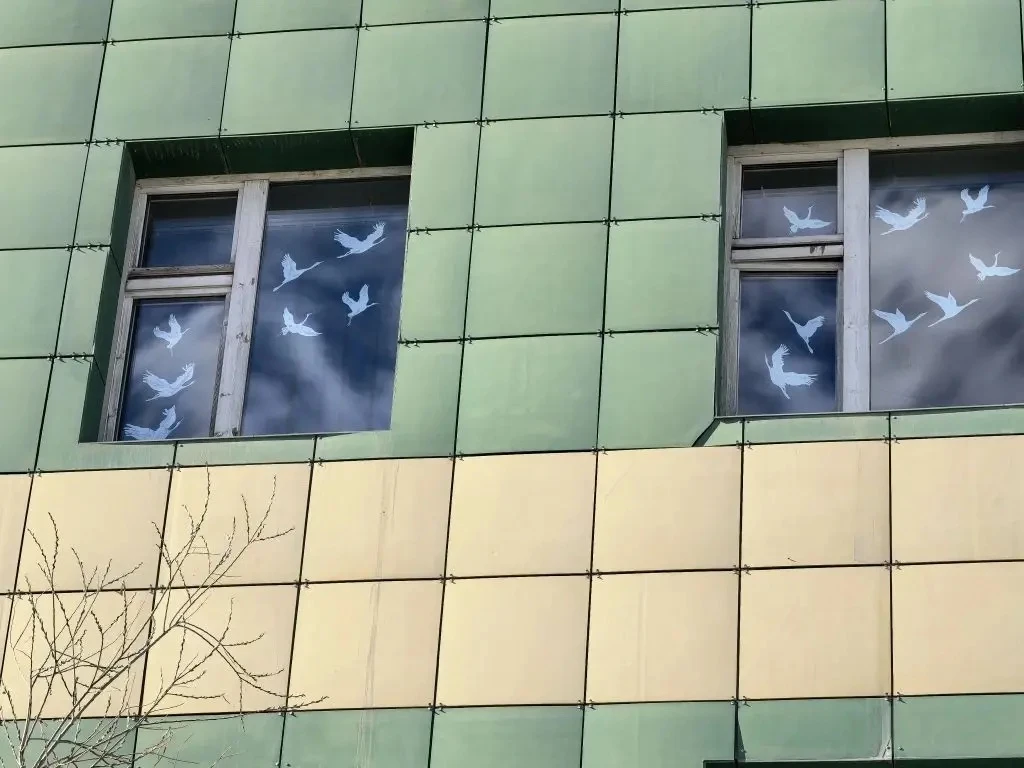 И ПУСТЬ ЛЕТЯТ ПО НЕБУ ЖУРАВЛИ...  Эстетическое восприятие окружающего нас мира, правильное понимание