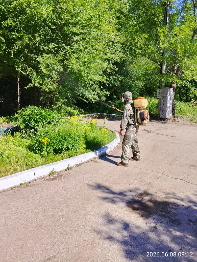 Произведена дезинсекция подвального помещения и территории по адресу: ул. Хасановская д. 11🦟🪰🪳