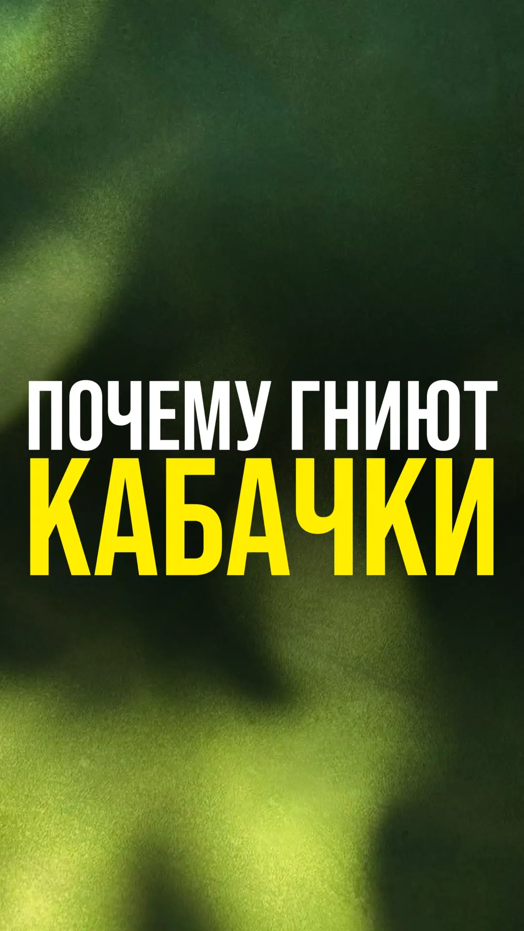 📚 🥒 Почему гниют завязи кабачков прямо на кусте? 😱