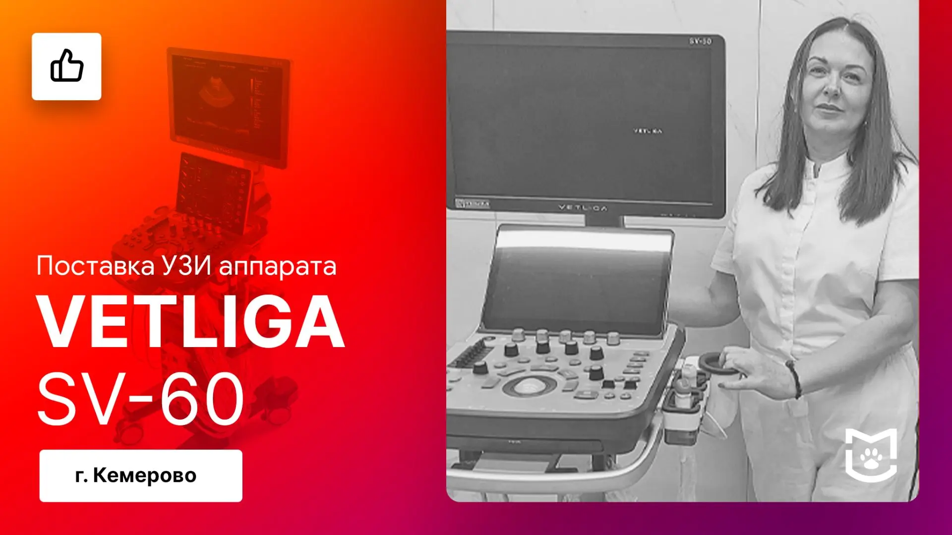 📢 Отзыв на поставку ветеринарного УЗИ аппарата VETLIGA SV-60 / Кемерово