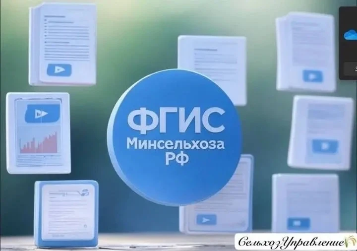 ❗️❗Комплексное предложение: