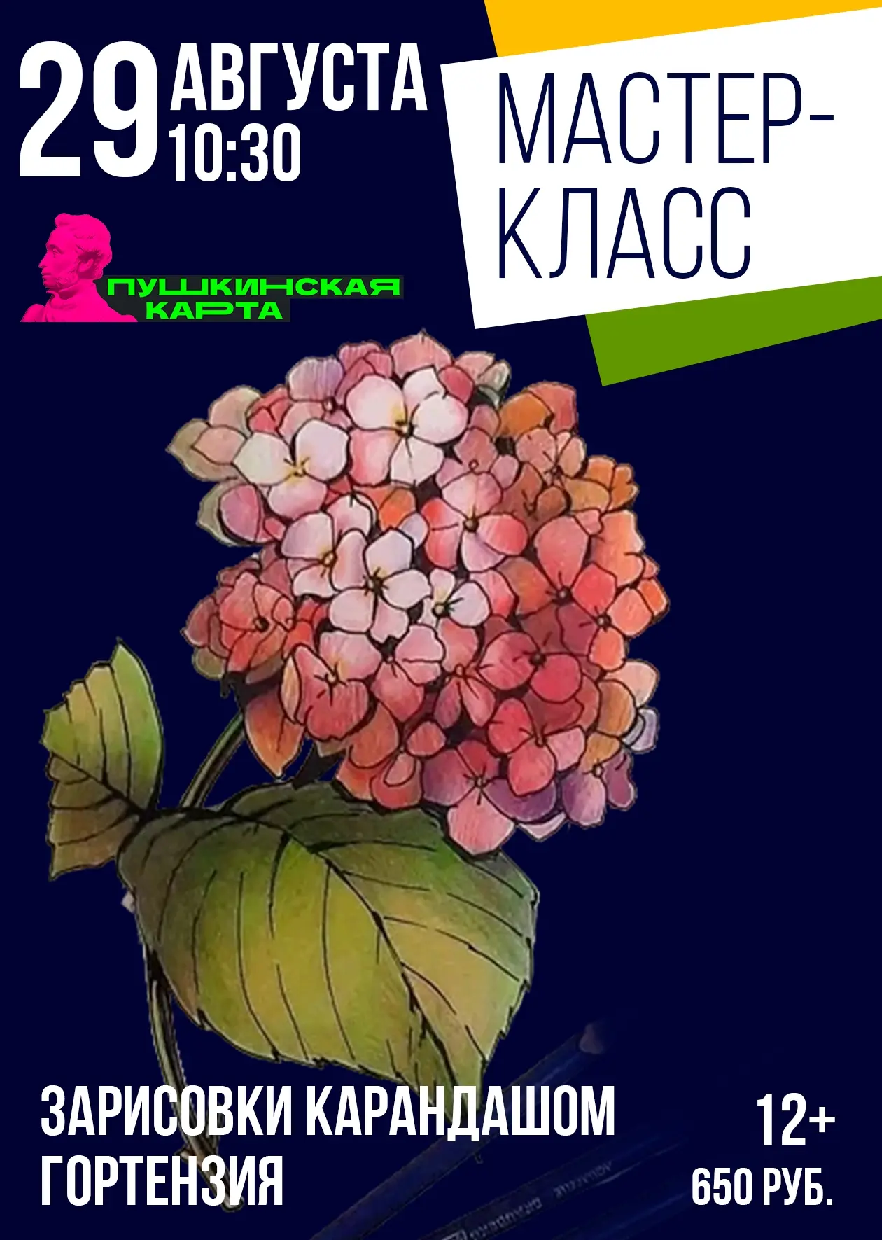 🌟Мастер-класс «Зарисовки карандашом. Гортензия» (12+)