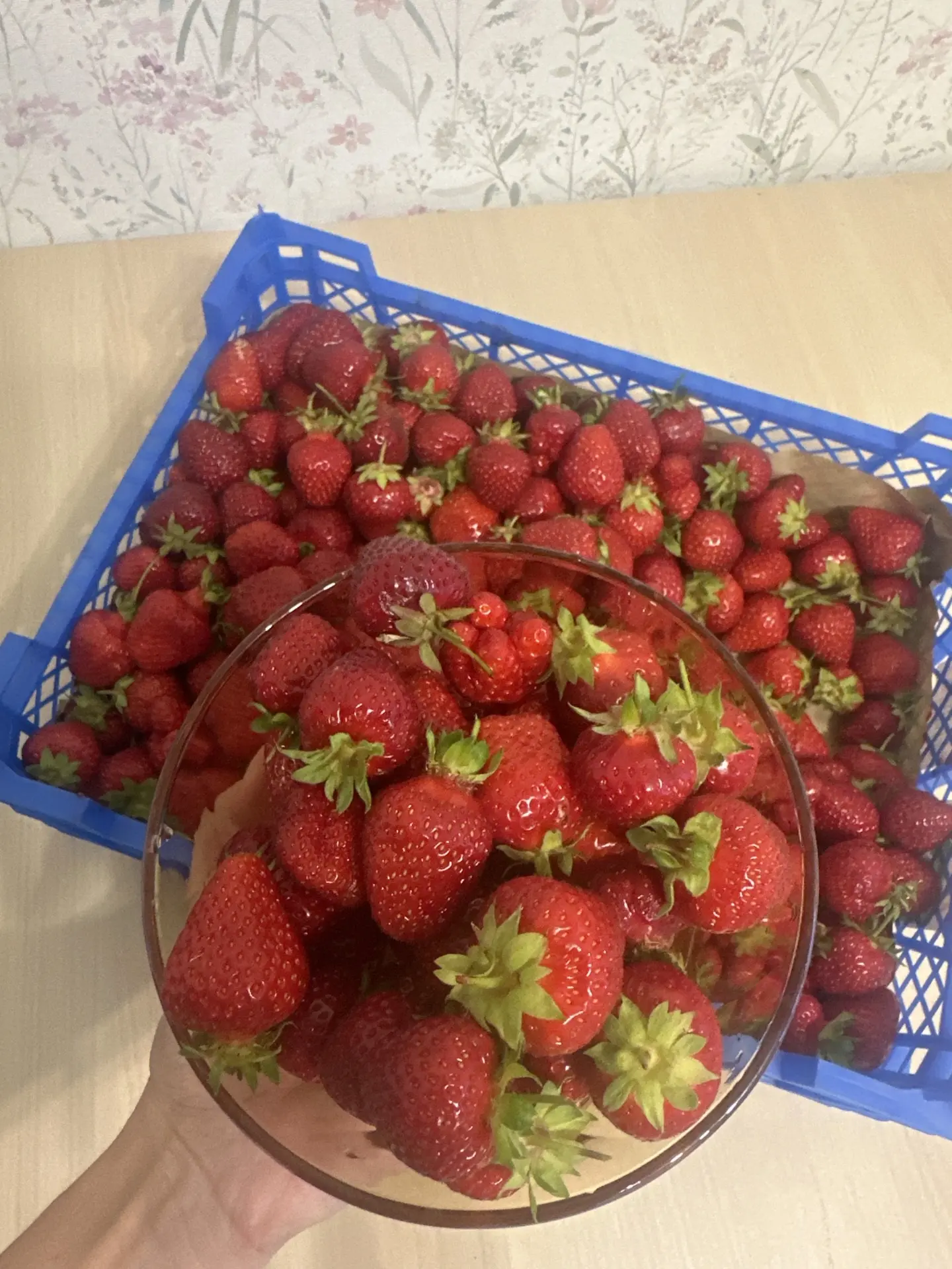 Ну наконец-то вкусная клубника 🍓 🍓🍓