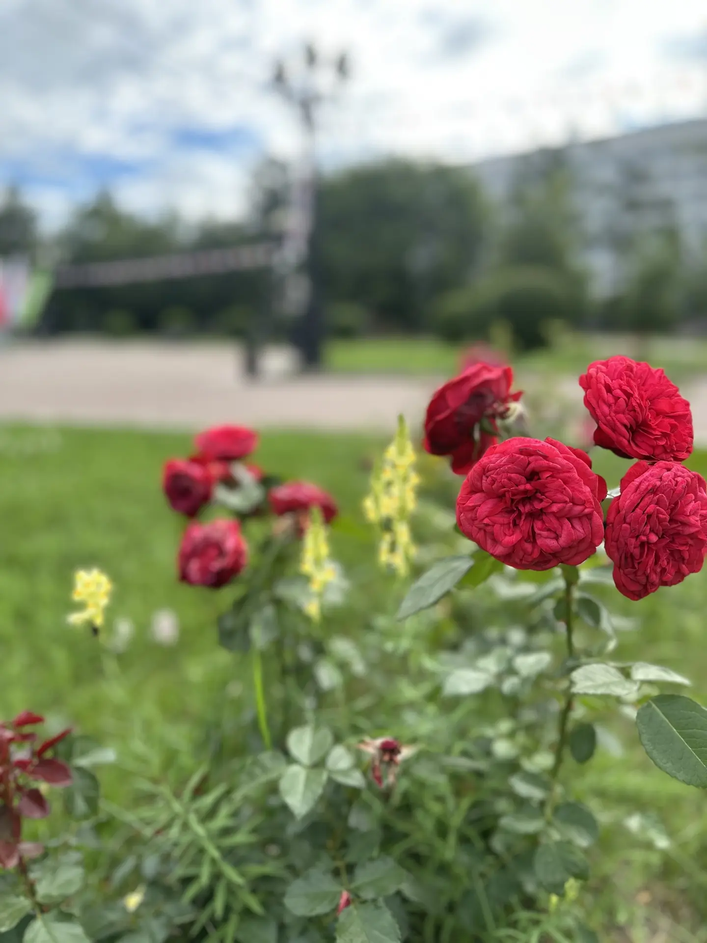 ☀️ Доброе утро, Иркутск!