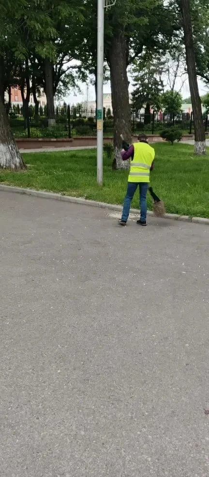 Уборка города 🌿