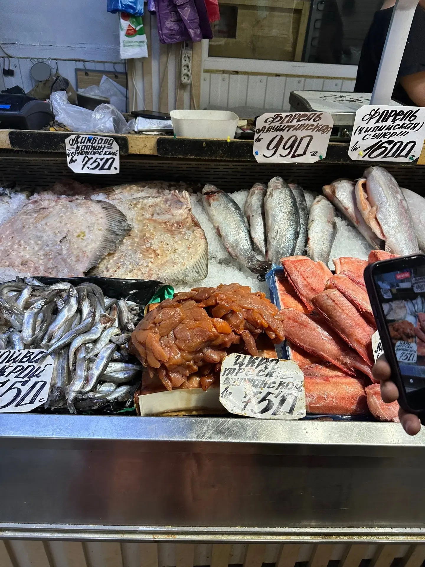 🦐Цены на рыбу и морепродукты в Ялте. Ялтинский центральный рынок сегодня.