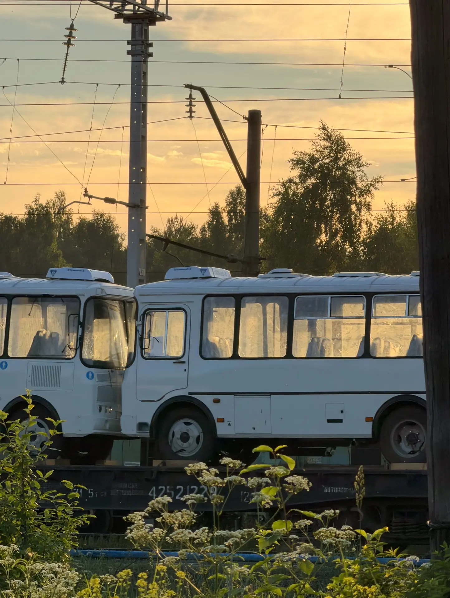Вечер в деревне: топим баню, считаем вагоны, любуемся деревенским закатом)

На поезде сегодня автобу