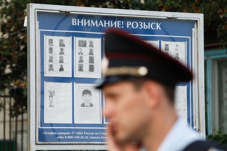 Встреча с медведем, криминал или вербовка: нейросеть проанализировала версии пропажи се...