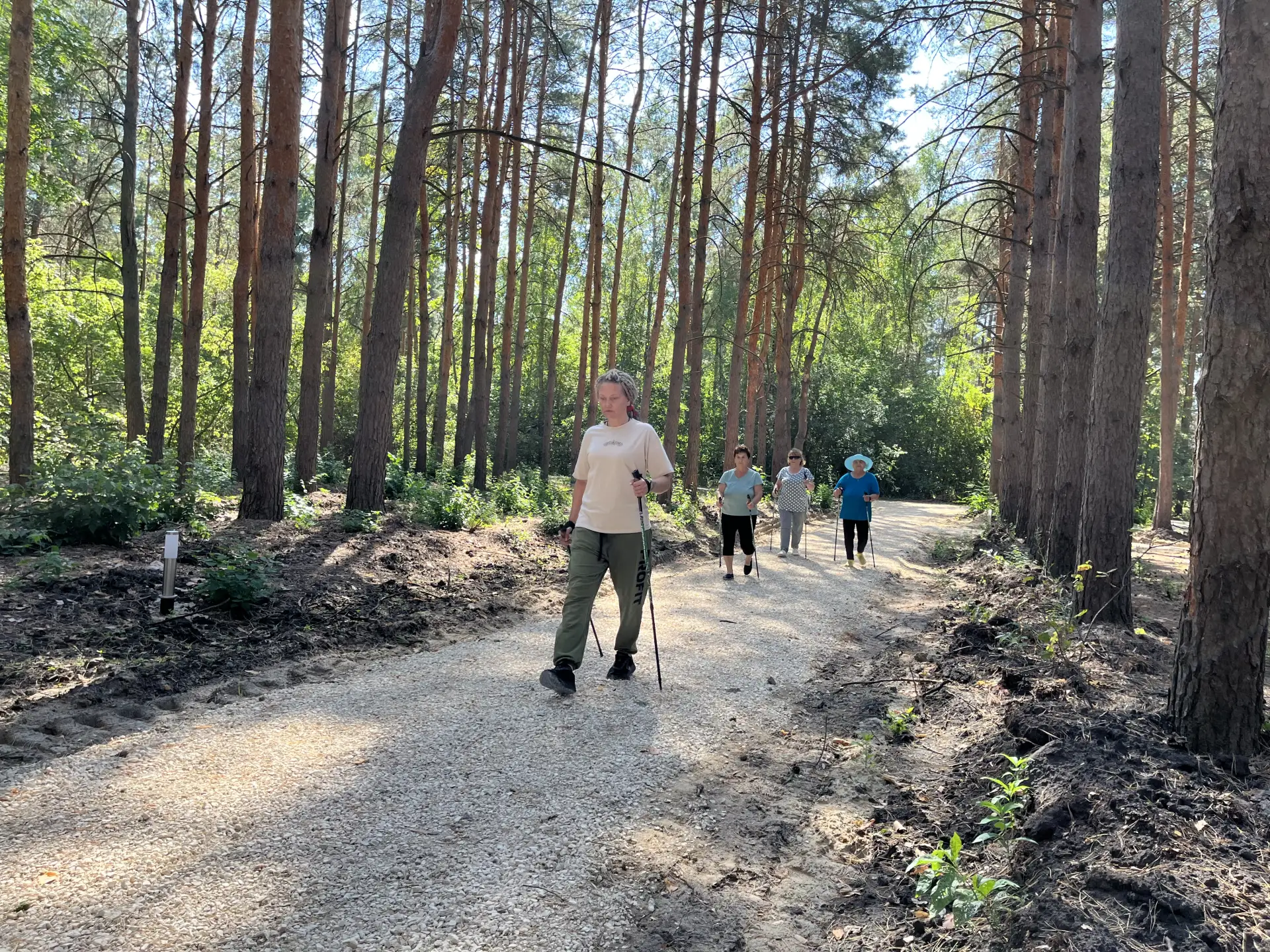 🌲🌲 Сегодняшнее утро было особенным — прохладным, залитым мягким солнечным светом. Воз...
