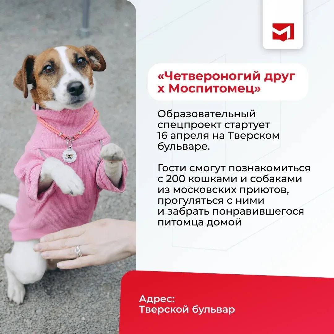 С 11 по 19 апреля в Москве проходит благотворительный фестиваль «Пасхальный дар»   В этом году «Пасх
