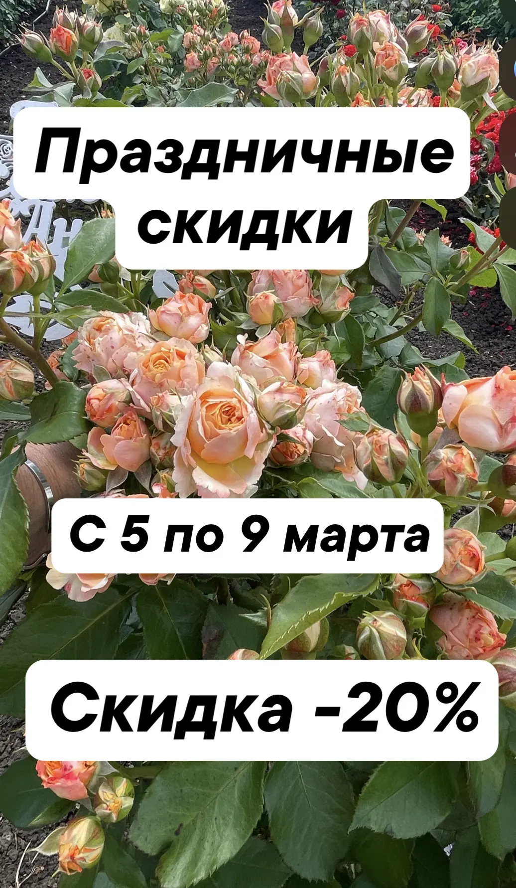 Дорогие девочки, девушки, женщины❤
