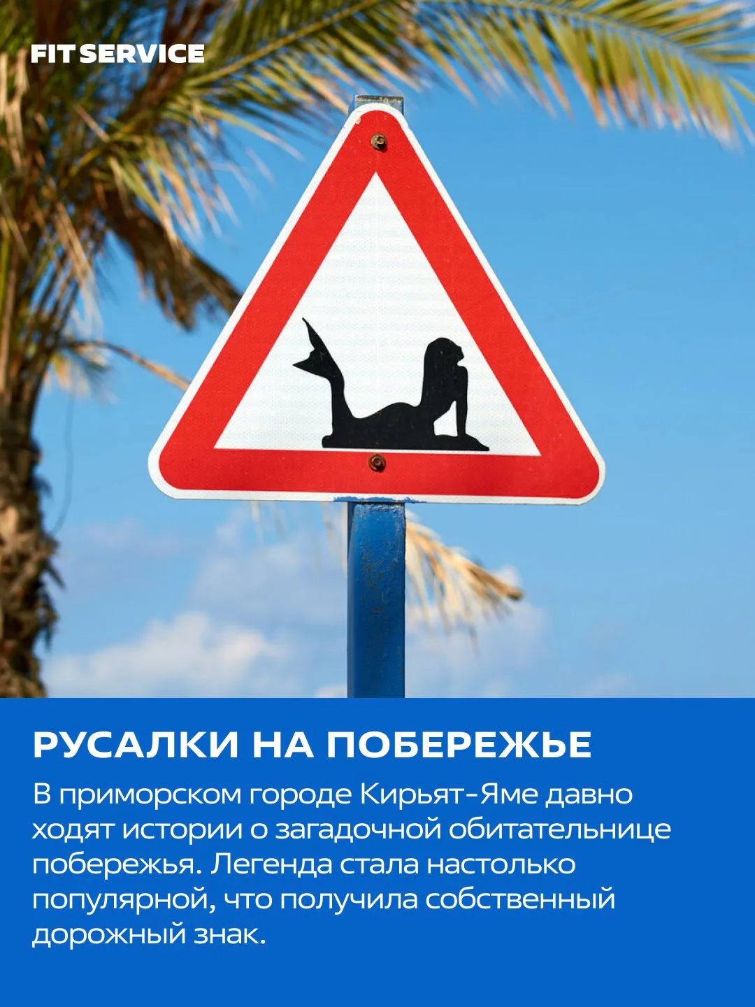 Таких знаков нет в ПДД 🚗