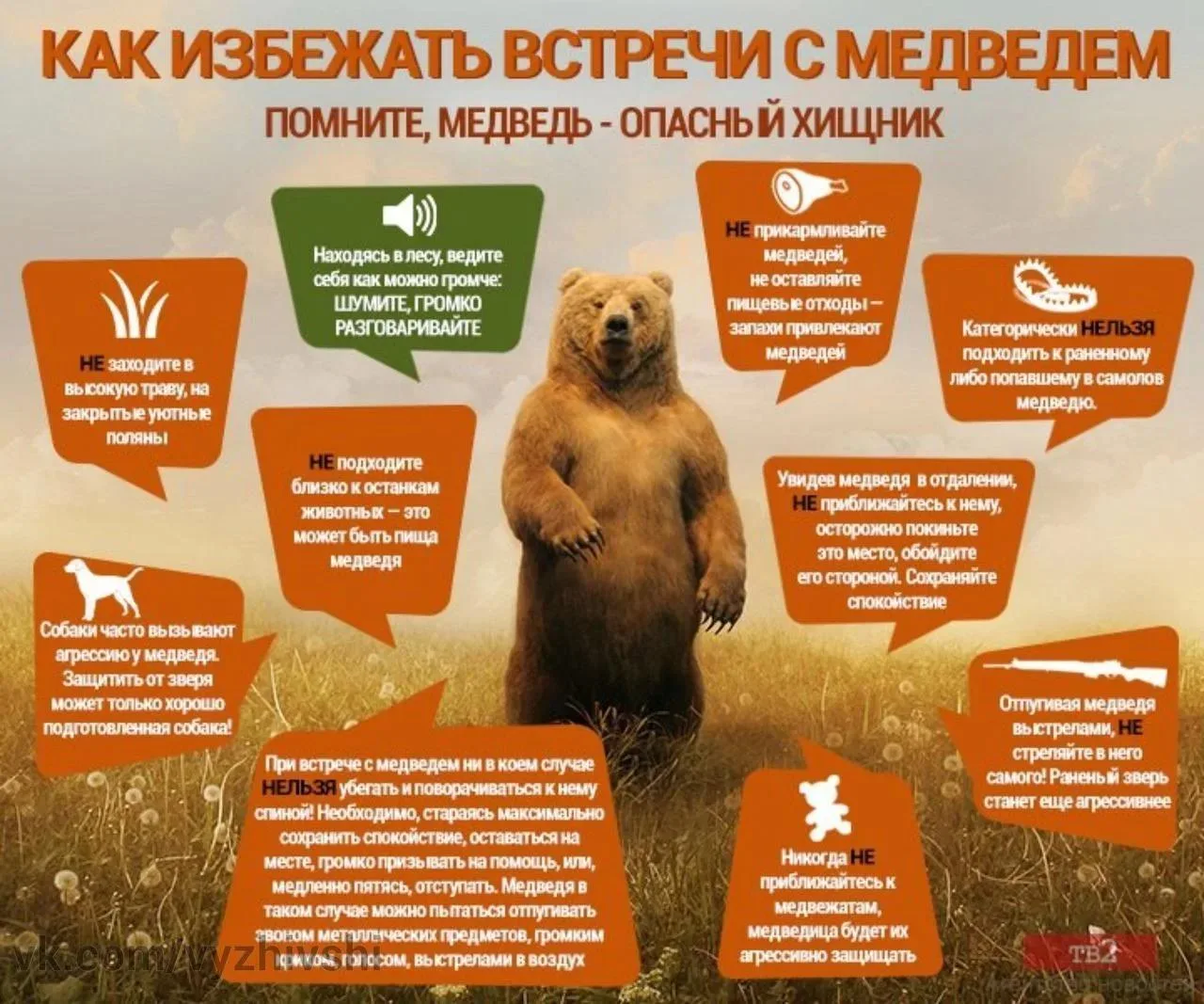 новостьЕсли вы встретились с медведем!..