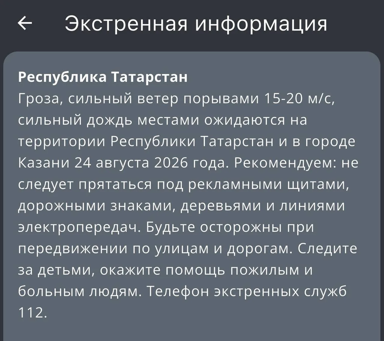 Гроза, сильный ветер порывами 15-20 м/с и сильный дождь ожидаются на территории Татарст...