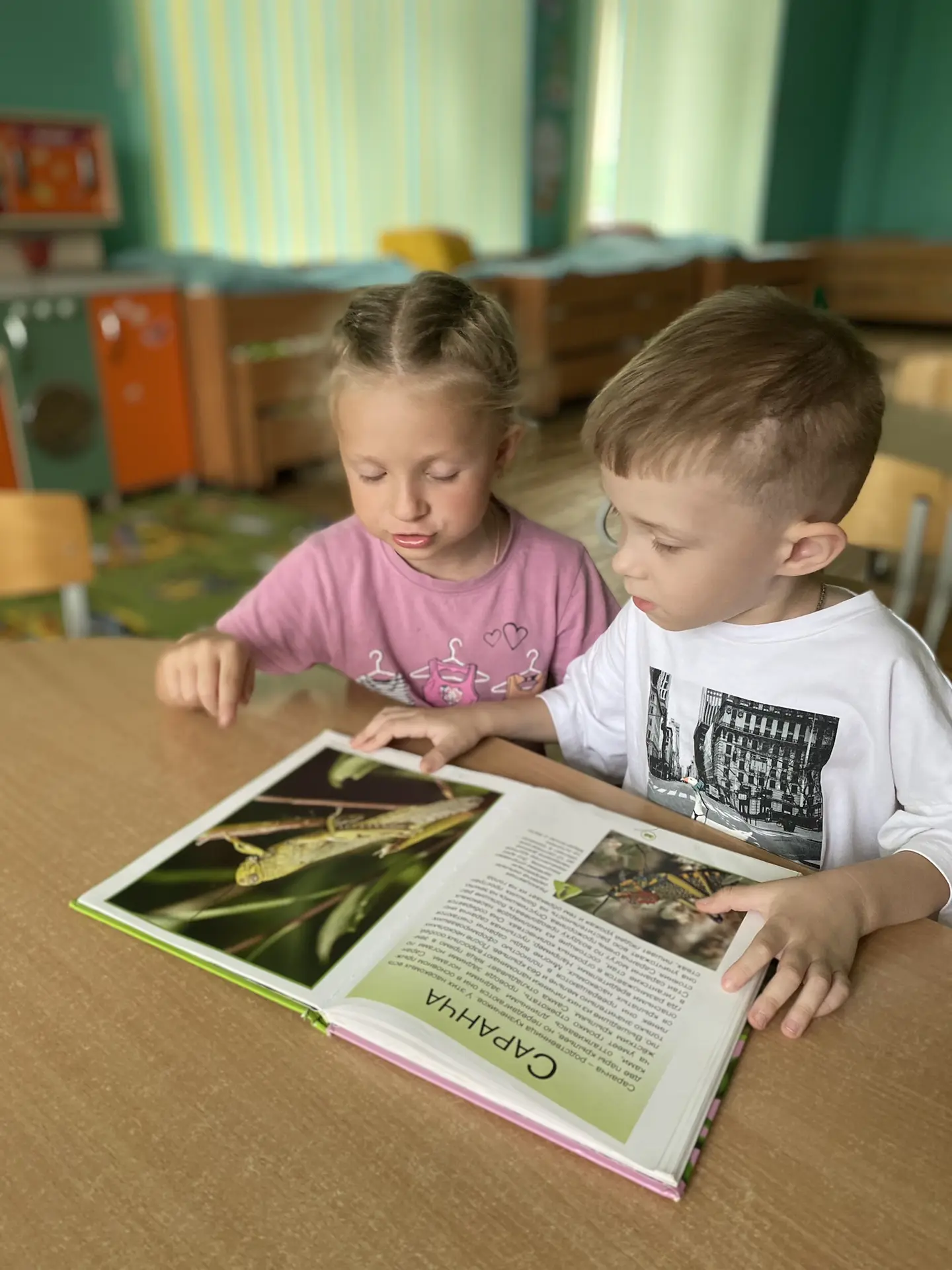 „Смешарики“, „Капелька“, „Незабудка“ и „Радуга“ познакомились с миром насекомых по книге, а потом со
