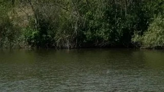 😱В Городище 9-классник погиб во время купания на дамбе

Трагедия произошла 26 июля в поселке Городи