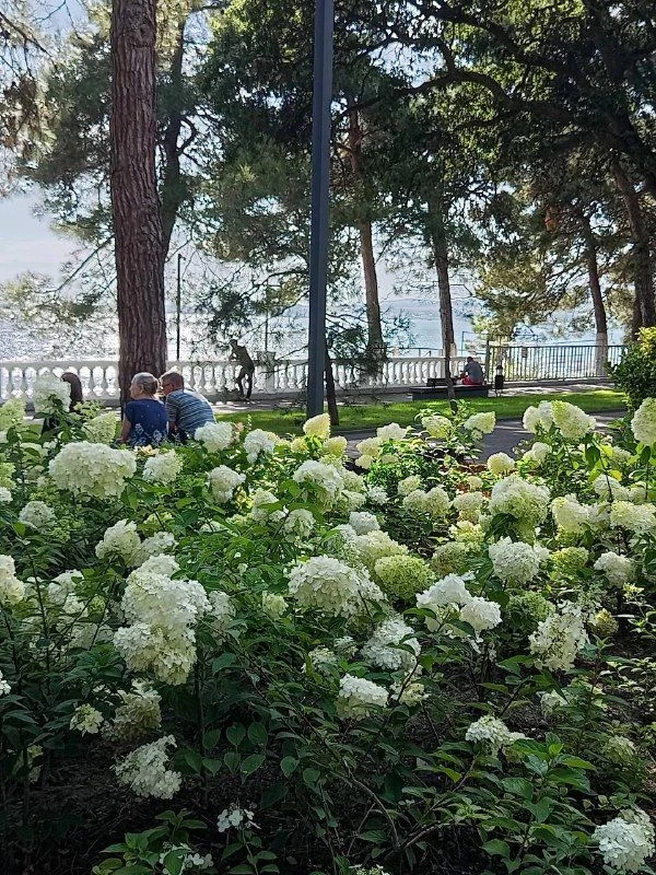 🌺 Приглашаем полюбоваться прекрасными пейзажами весеннего Геленджика, утопающего в ярк...