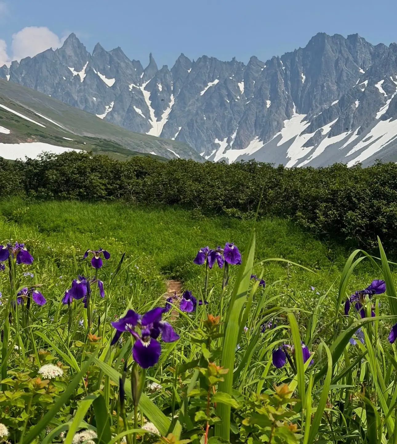 С добрым утром, Камчатка 💙