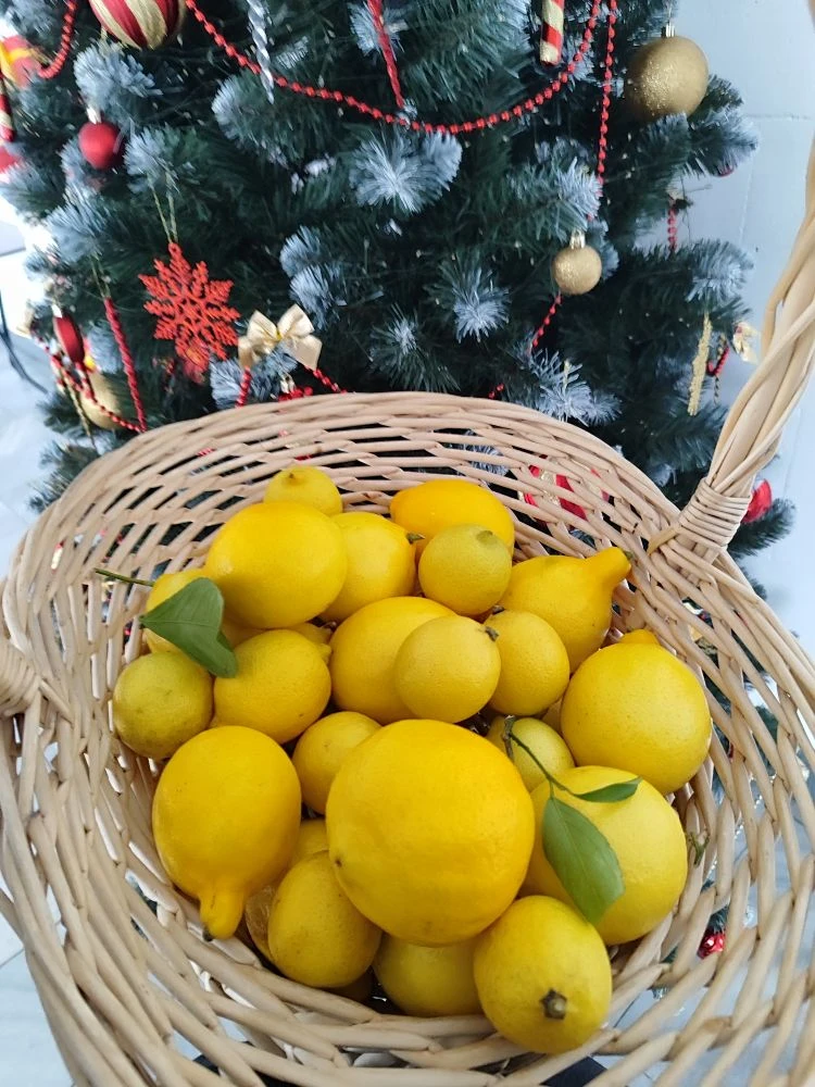 С Наступающим Новым годом, друзья!