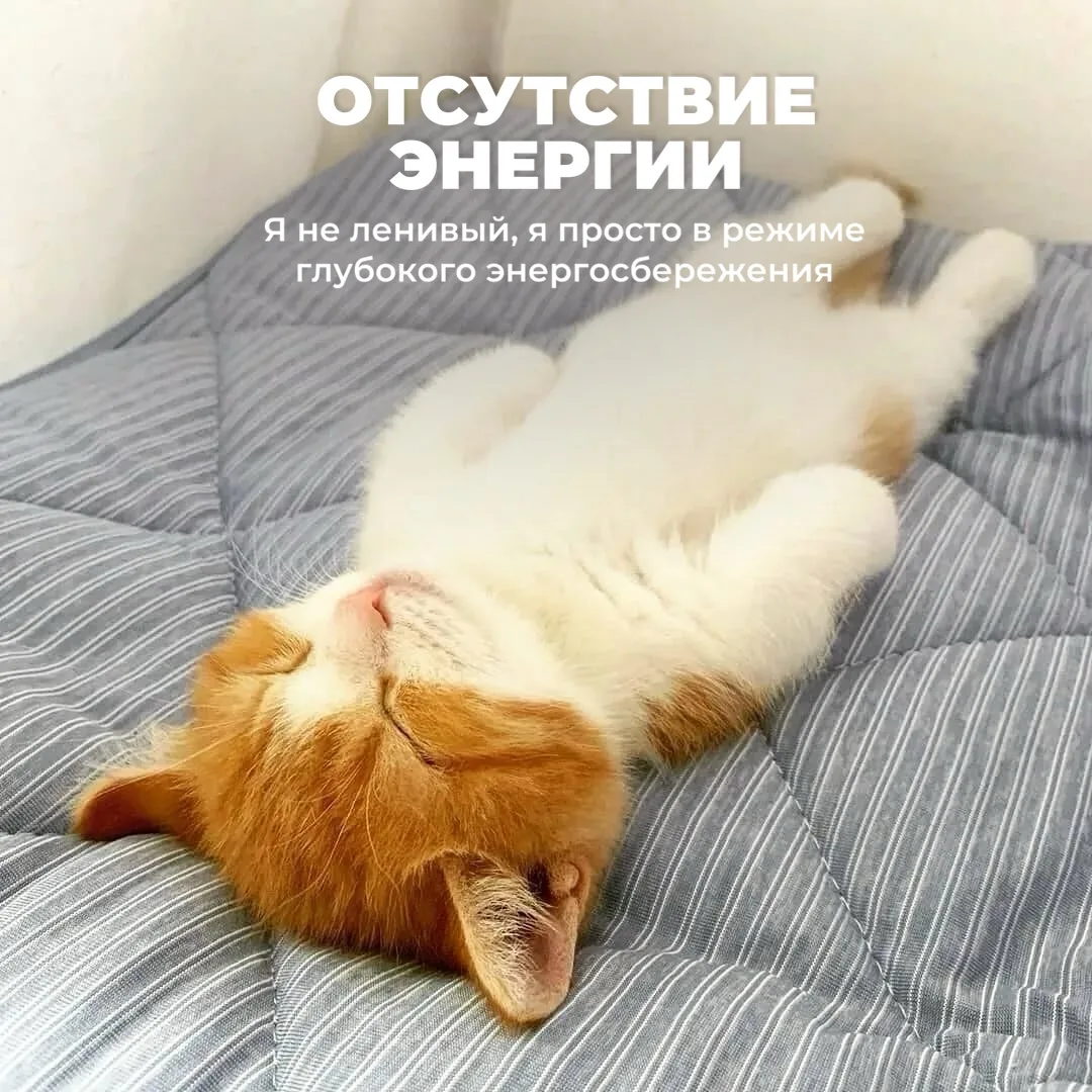 Поговорим честно? 🤫  Я тут на приеме узнала, что вы стесняетесь писать в чат свои вопросы. Давайте с