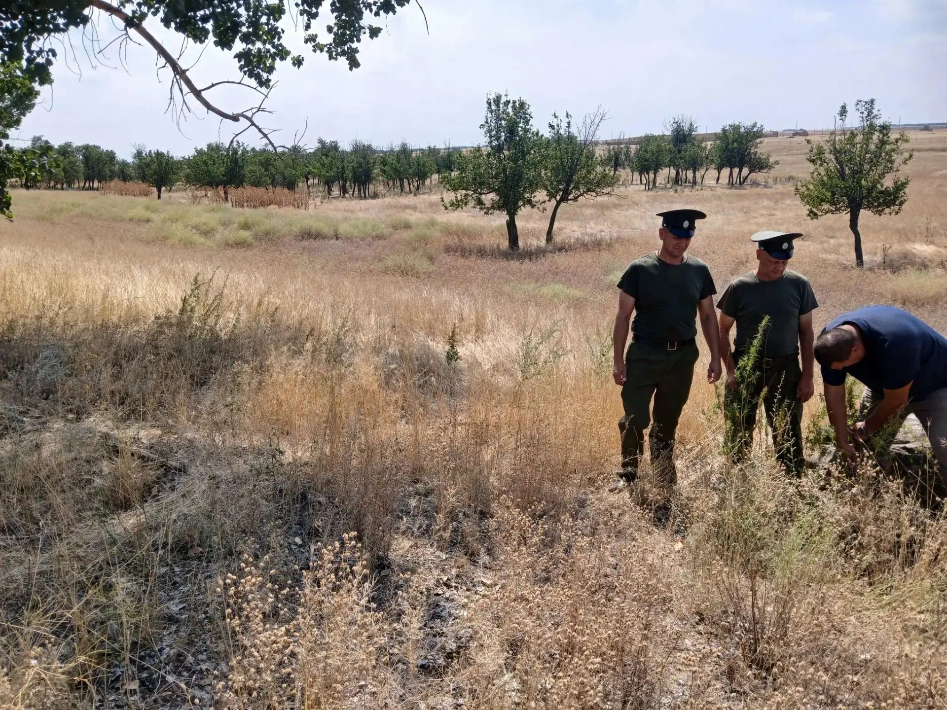 25 августа 2026 года представители администрации Ремонтненского сельского поселения сов...