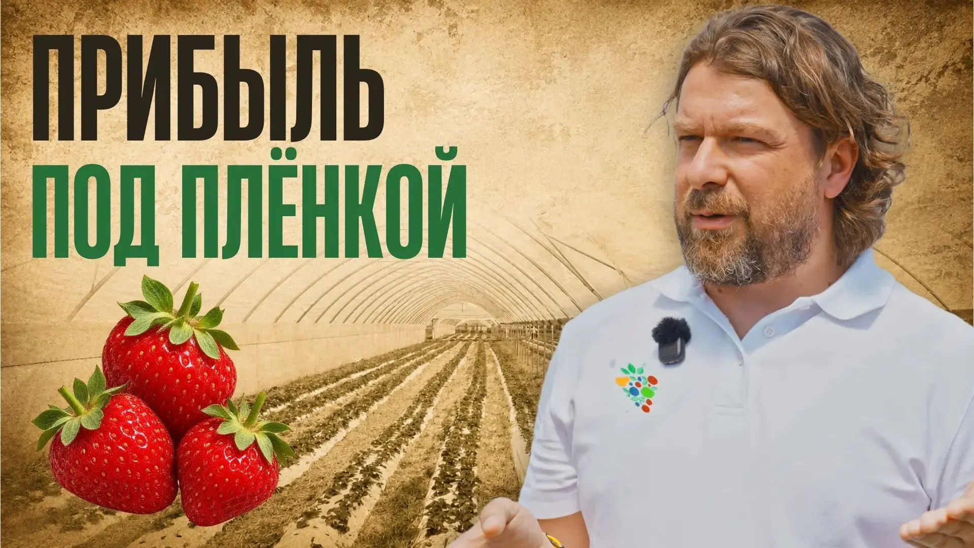 Как собирать больше клубники на меньшей площади, продлить сезон до октября и снизить за...