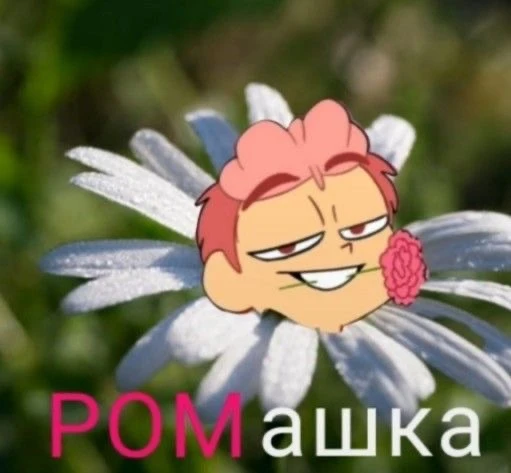 Ромашка))