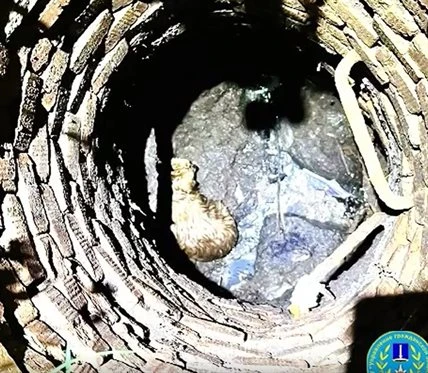 Ульяновские спасатели пришли на помощь собаке, упавшей в люк