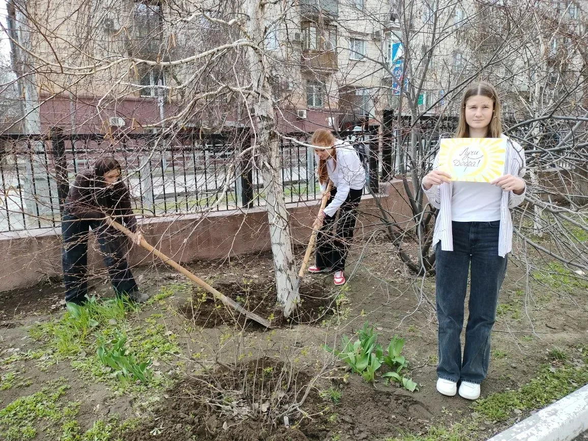 В #МОУСШ81 продолжается акция "Лучи добра". Учащиеся 10 "Б" класса встречают весну и помогают навест