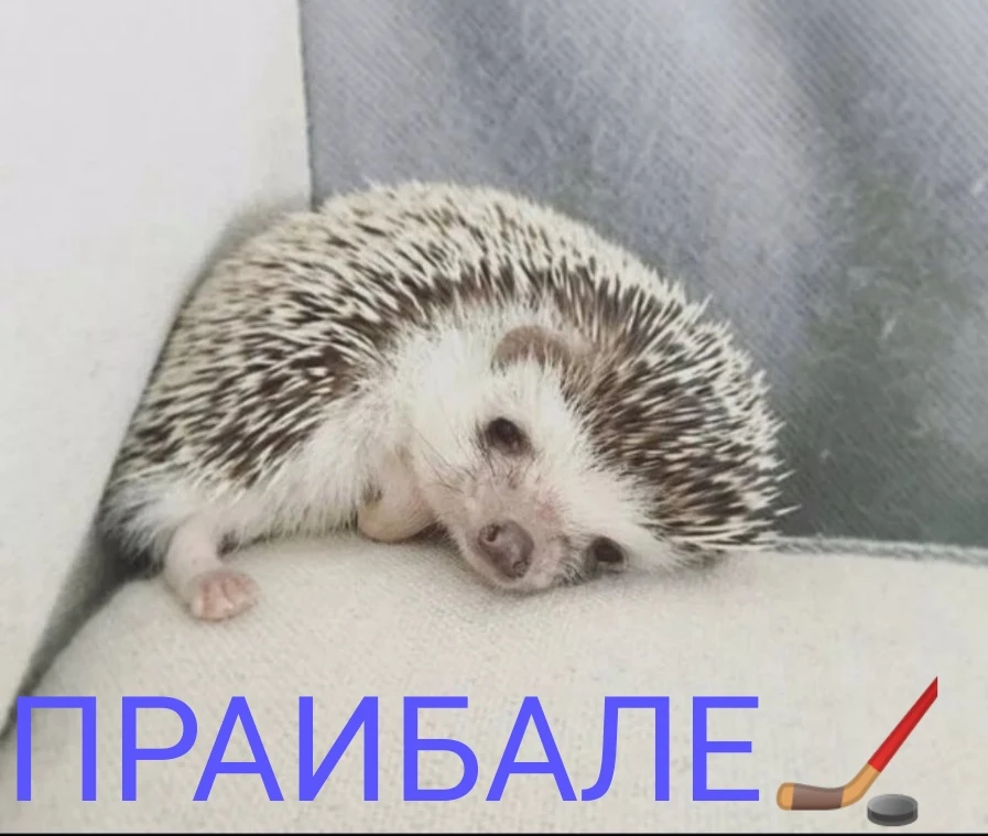 Уступаем по буллитам 🏒